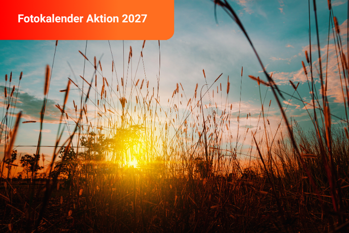 Sonnenuntergang auf einem Feld - Foto-Wandkalenderaktion